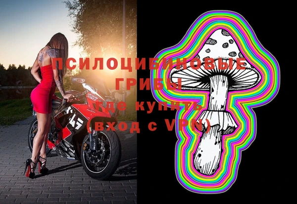 прущая мука Ладушкин