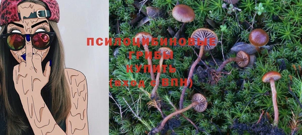 прущая мука Ладушкин
