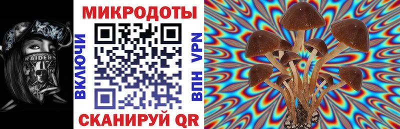 Псилоцибиновые грибы Psilocybine cubensis  где продают   Сердобск 