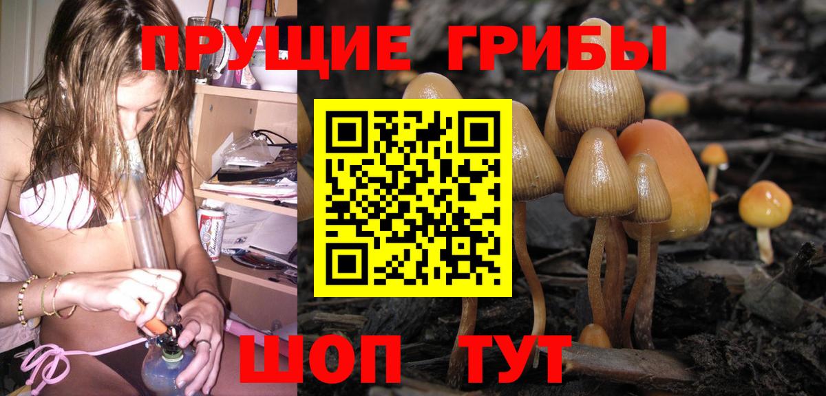 Галлюциногенные грибы ЛСД  Вход с VPN  Сердобск  Галлюциногенные грибы Psilocybe 